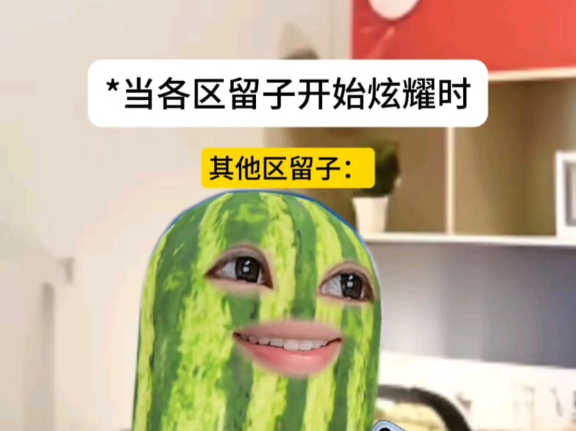 各区留子间的嘲点哔哩哔哩bilibili