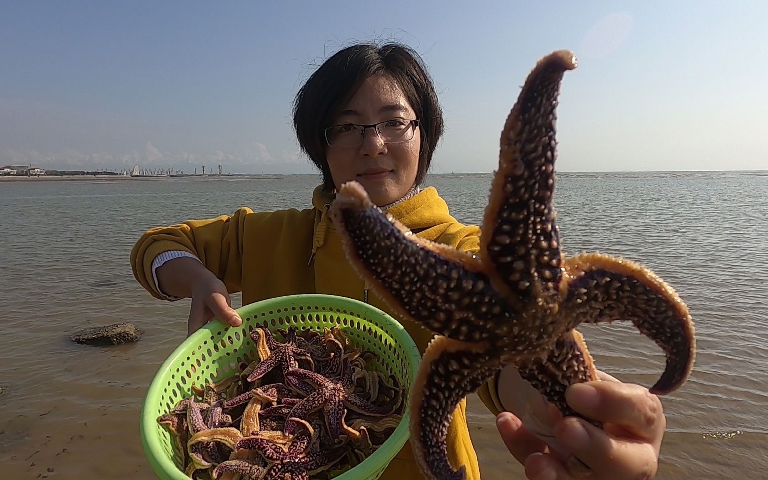 [图]大雪嫌小斗抓海星太慢，不上班来助阵，两个人抓了103只