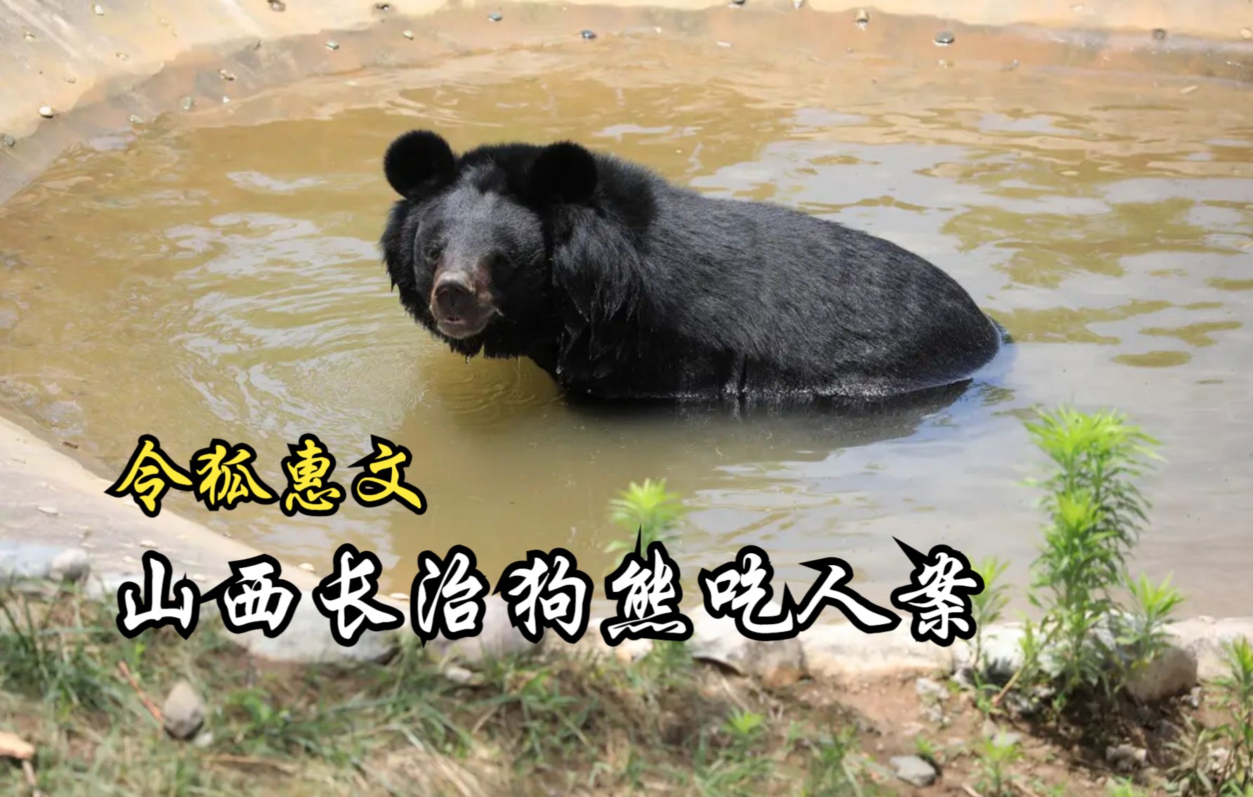 山西长治狗熊吃人案-令狐惠文