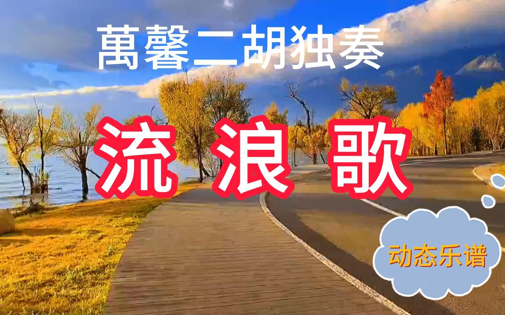 二胡流浪歌曲谱与指法图片