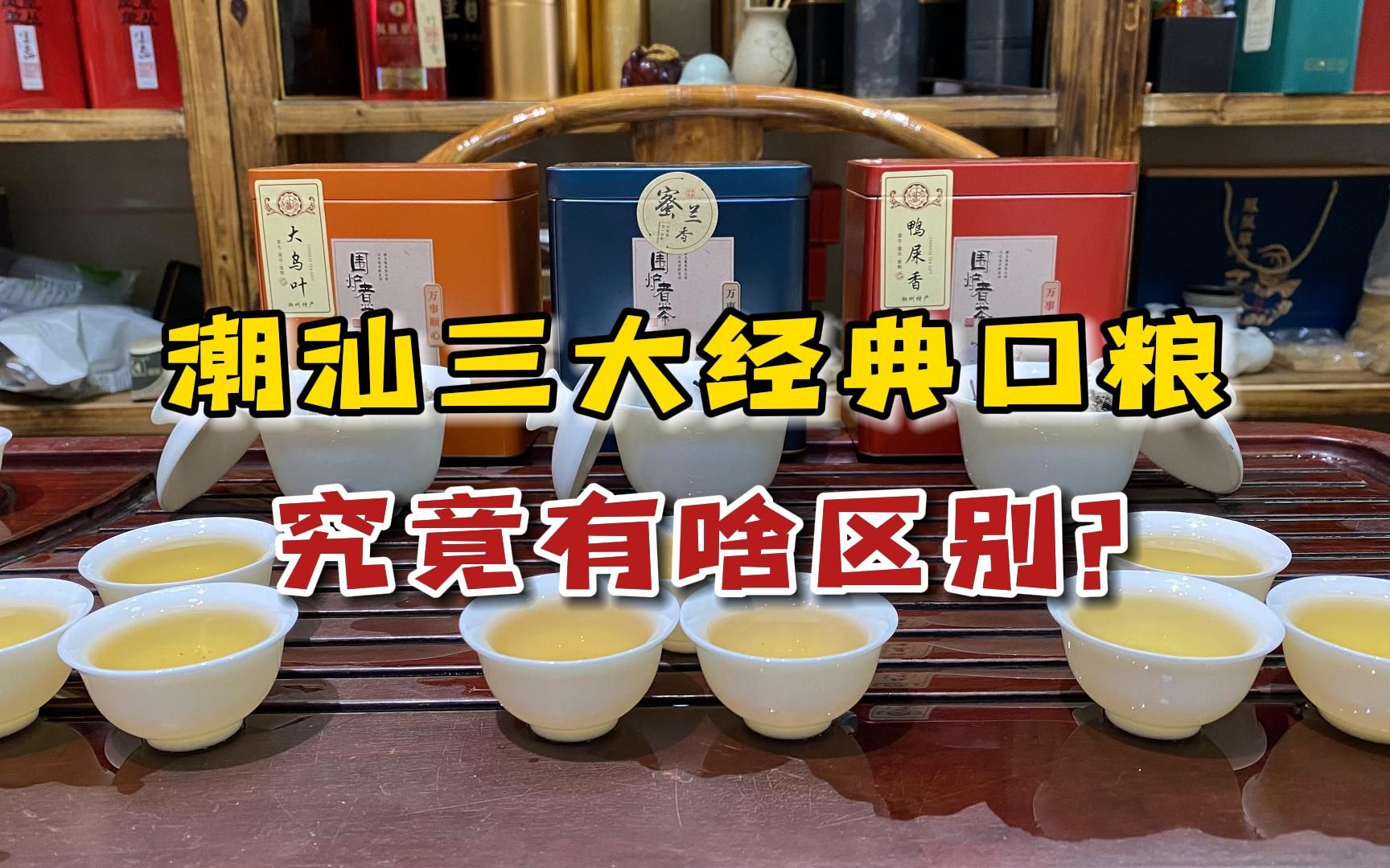 潮汕三大经典口粮茶:鸭屎香、蜜兰香、大乌叶,如何辨别呢?哔哩哔哩bilibili