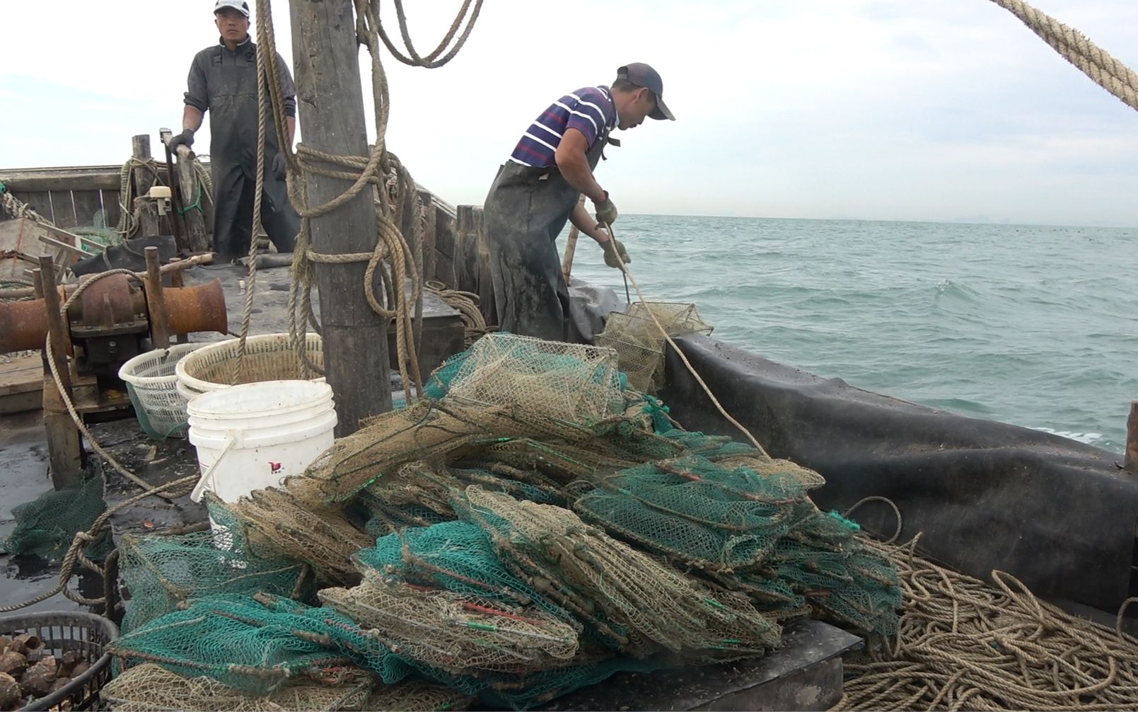 小夥跟船出海收地籠,每條籠都抓到貨,八爪魚海鰻海螺收穫多多