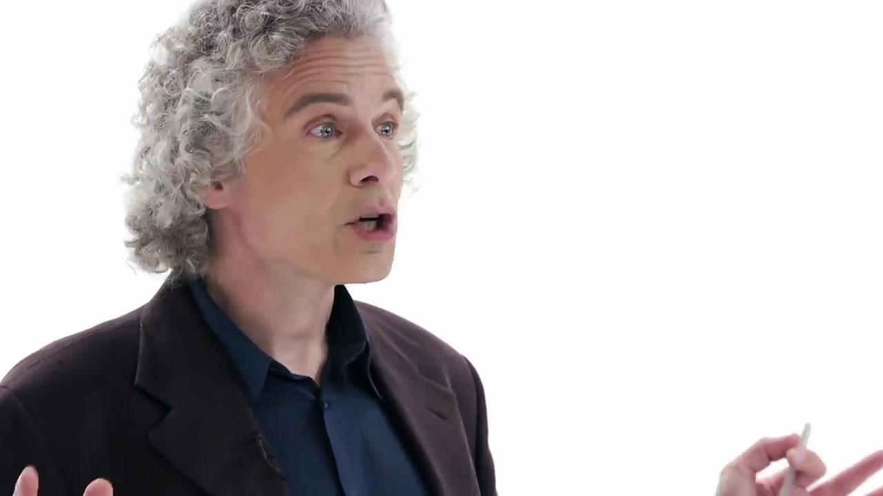 stevenpinker语言学理解大脑的窗口