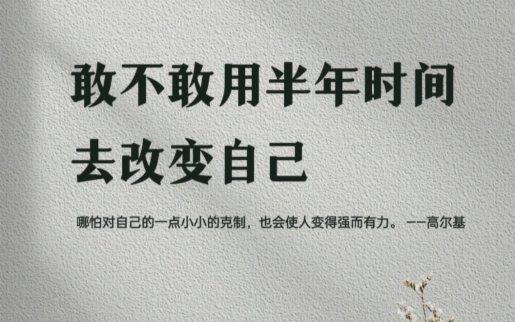 敢不敢用半年的时间,去改变自己? - 哔哩哔哩