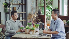 Mint花店日记课堂 家里光照不足 湿度不够 就种广东万年青啊 哔哩哔哩 つロ干杯 Bilibili