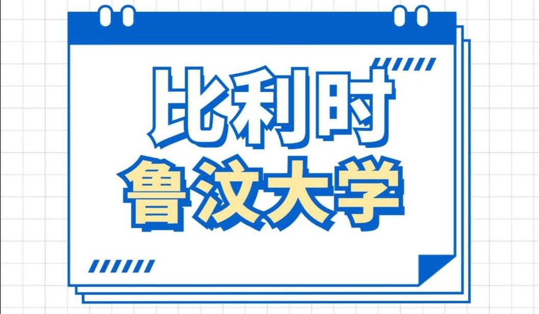 比利时PhD鲁汶大学全奖博士岗位哔哩哔哩bilibili