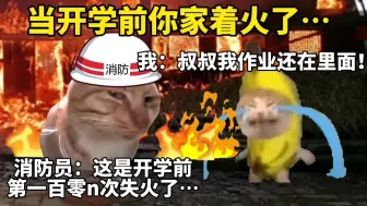 Download Video: 当开学前你家着火了