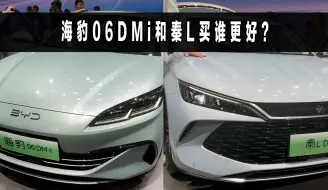 Video herunterladen: 同样9.98万，秦L和海豹06DMi，选谁更明智