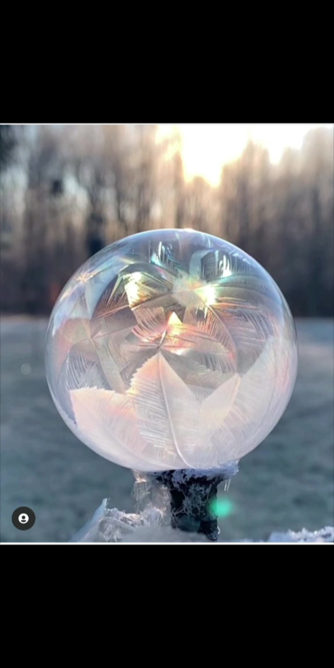 一些神奇的东西