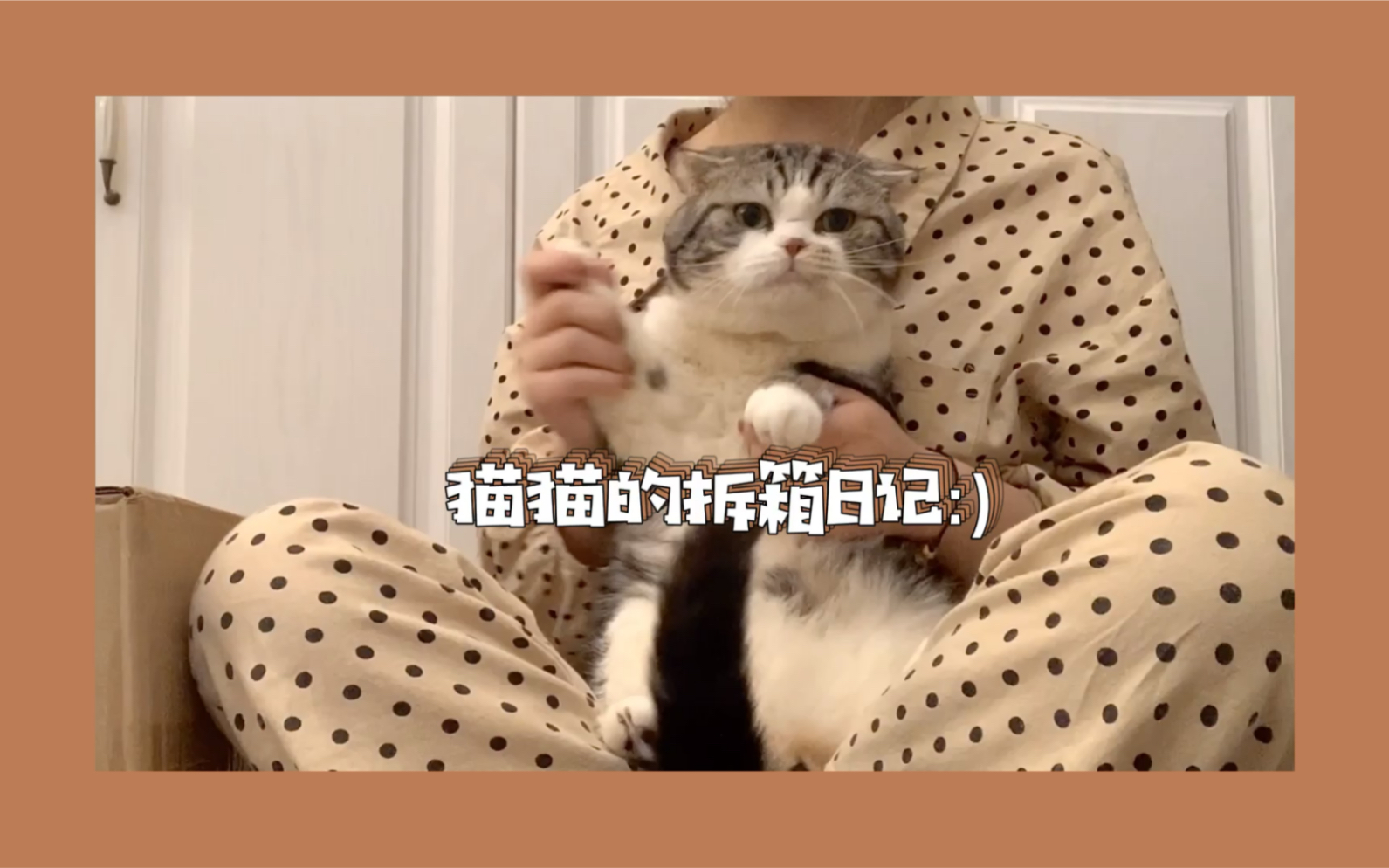 [猫猫的拆箱日记] merrick 麻利猫粮/merrick麻利罐头/甜甜圈玩具/miamor迈阿密麦芽化毛零食条哔哩哔哩bilibili