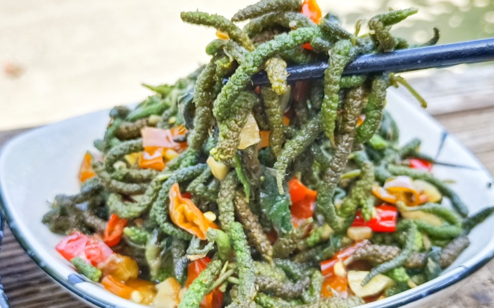 【毛毛虫野菜】长得像虫子,味道很不错,我却不知道它是什么菜