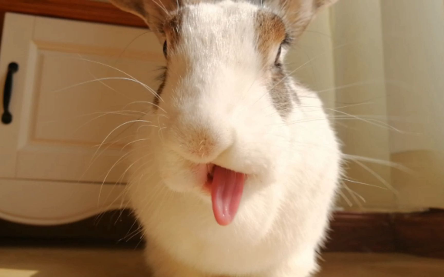 长得丑吃播 日常////草莓狂魔现已加入肯德基豪华套餐_哔哩哔哩 (゜