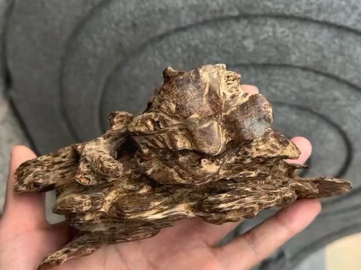 编号490 天然野生奇楠棋楠沉香木料原料摆件横财手把件