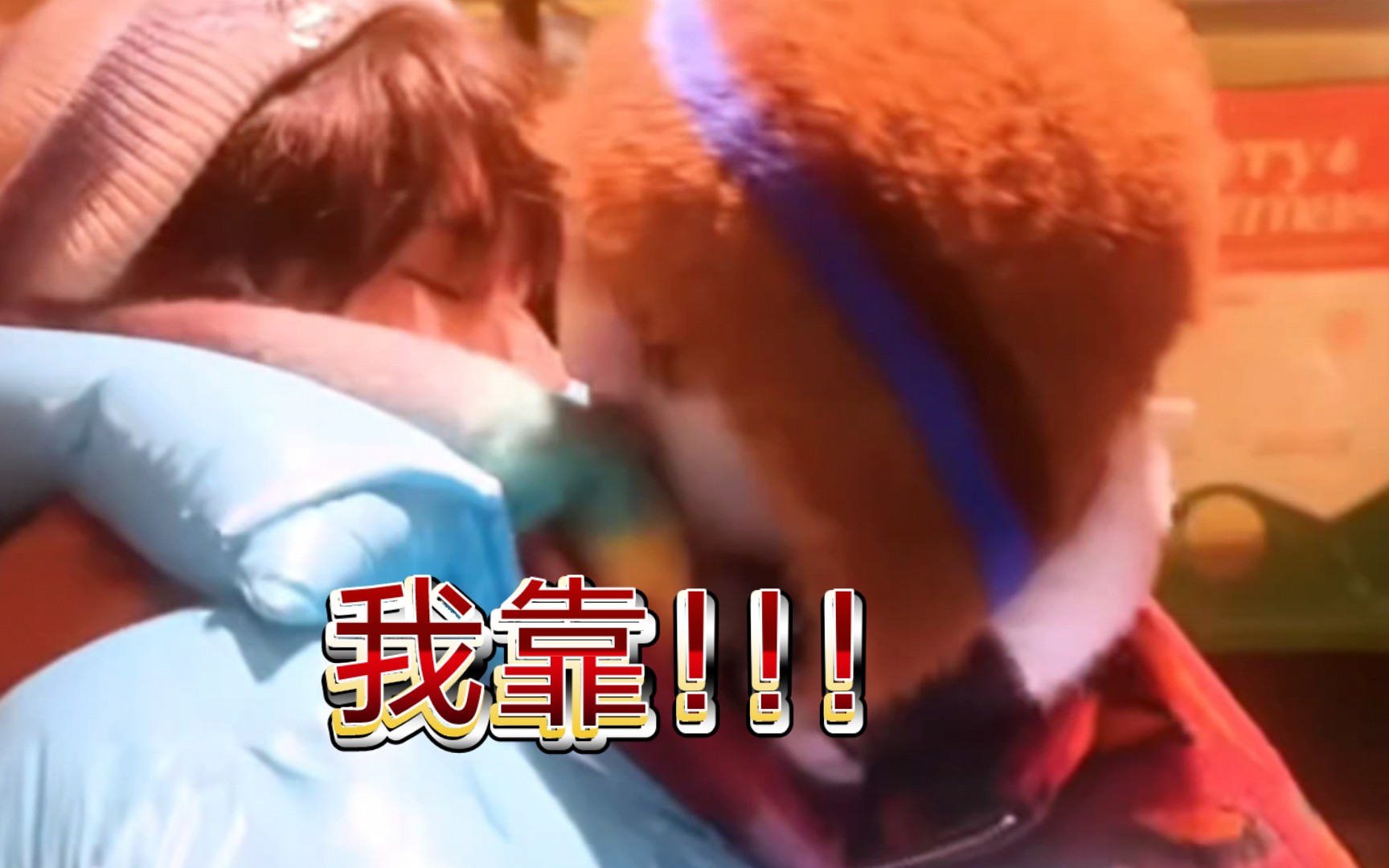 【鑫源】完了张哥他弯了(bu shi)从没想过这俩会有cp感