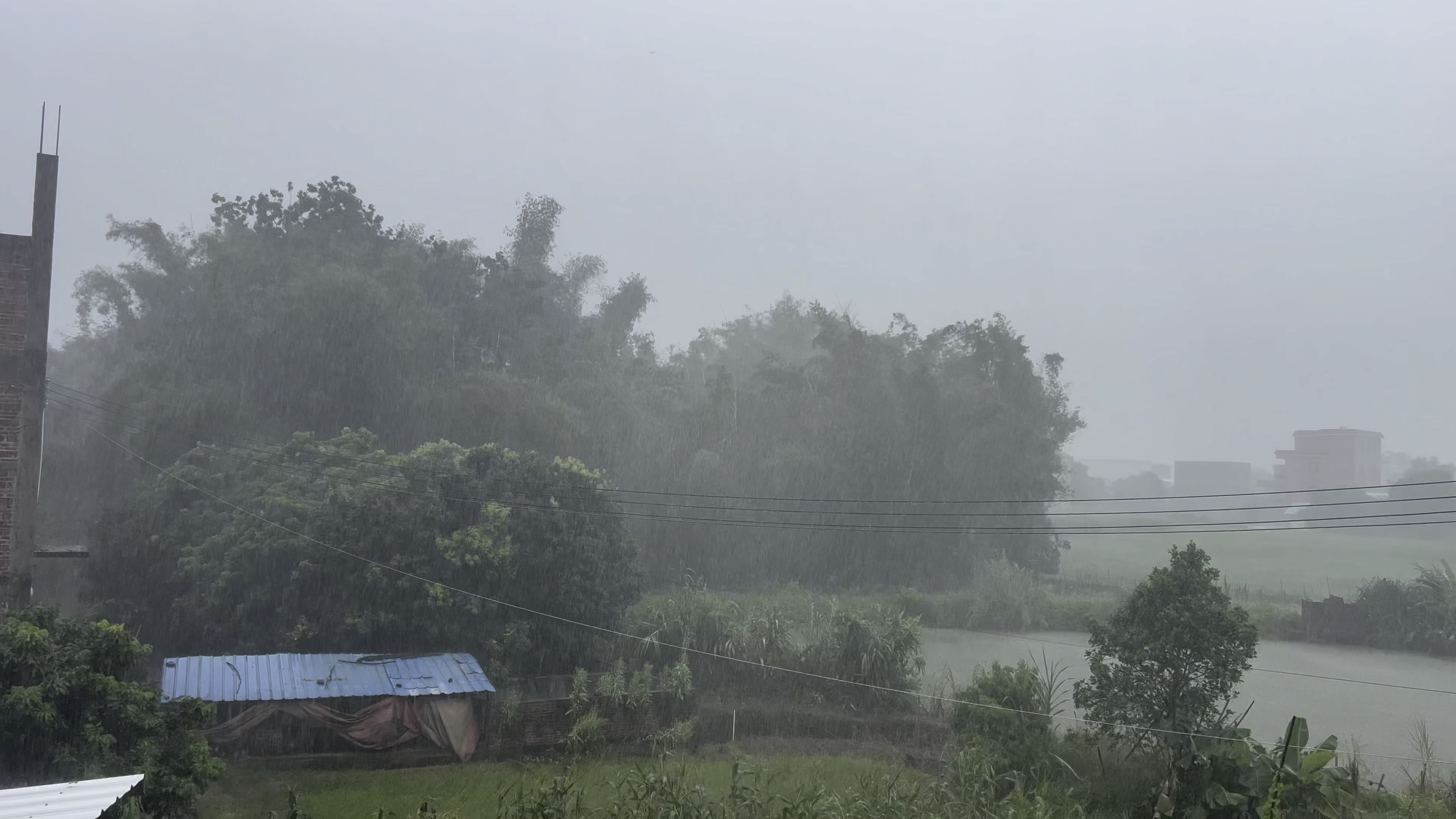 雨后清晨农村图片