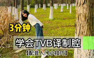 3分钟，学会TVB译制腔~