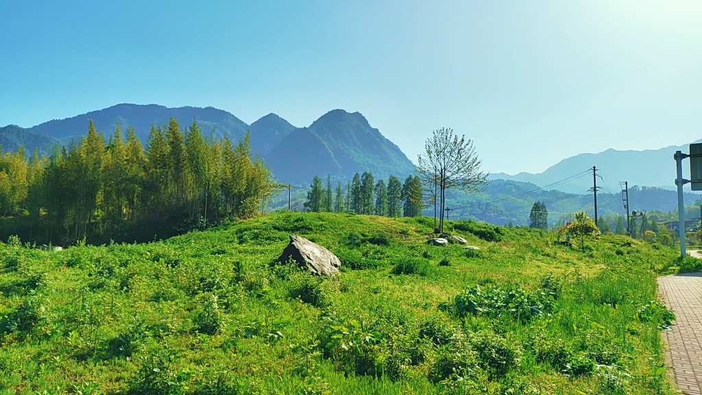 【青川御风灵】仔仔的生活碎片8565