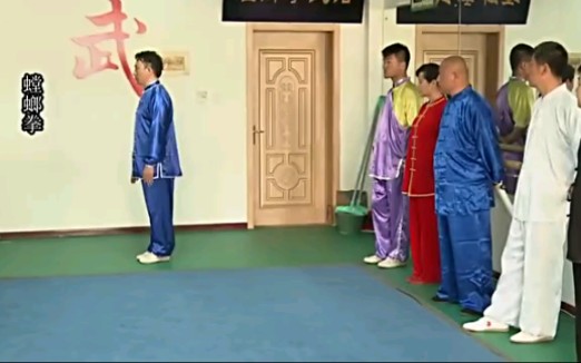 [图]《精武辽宁》：七星螳螂拳