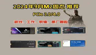 Download Video: 2024.09月版 SSD固态硬盘/选购指南/性价比选择推荐 ［NVMe PCIe3.0 PCIe4.0 电脑M.2接口 多为原厂 高速度 稳定靠谱 避坑清单］