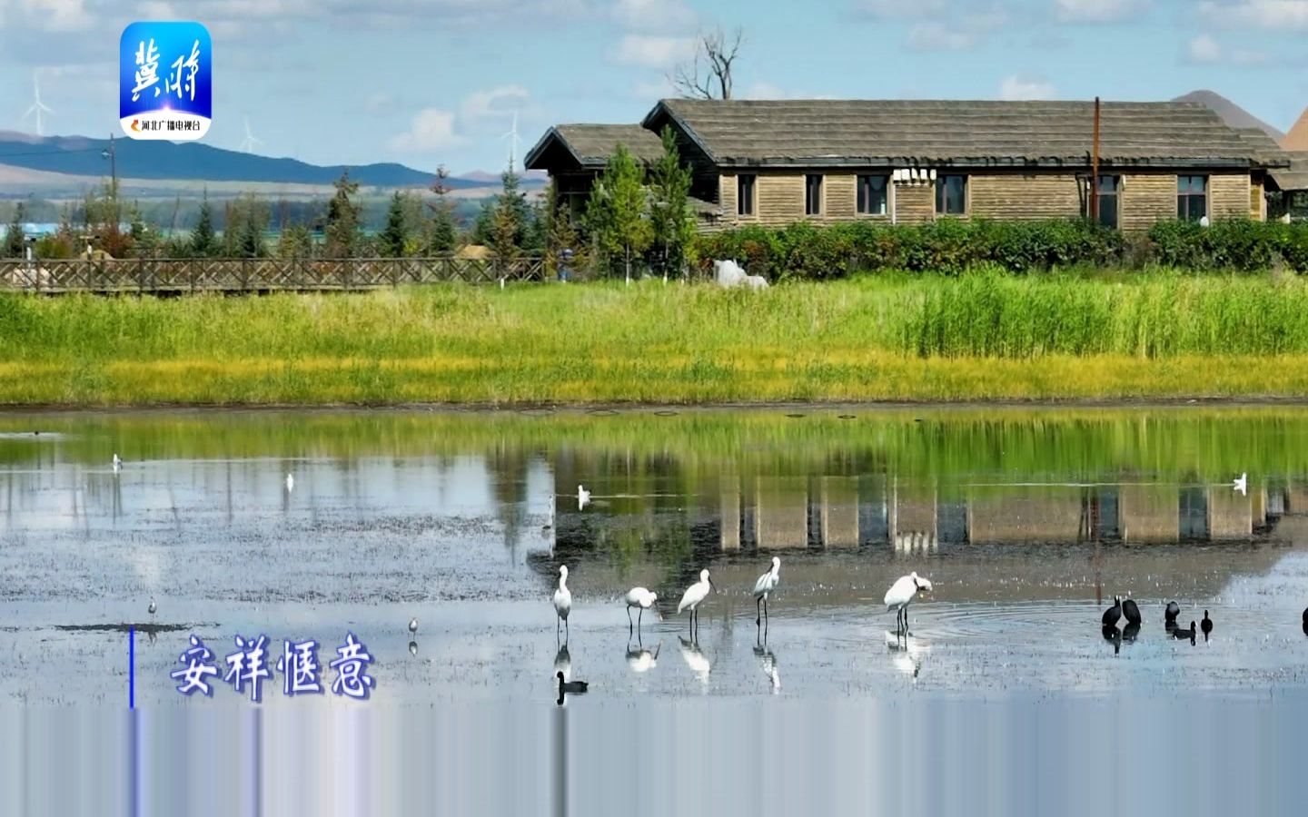 【候鸟天堂闪电河】天空湛蓝 群鸟嬉戏 好一幅生态胜景新画卷!哔哩哔哩bilibili