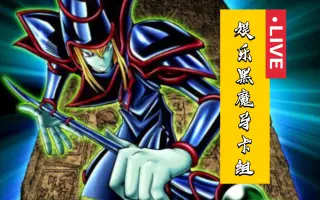 外挂卡组 哔哩哔哩 Bilibili