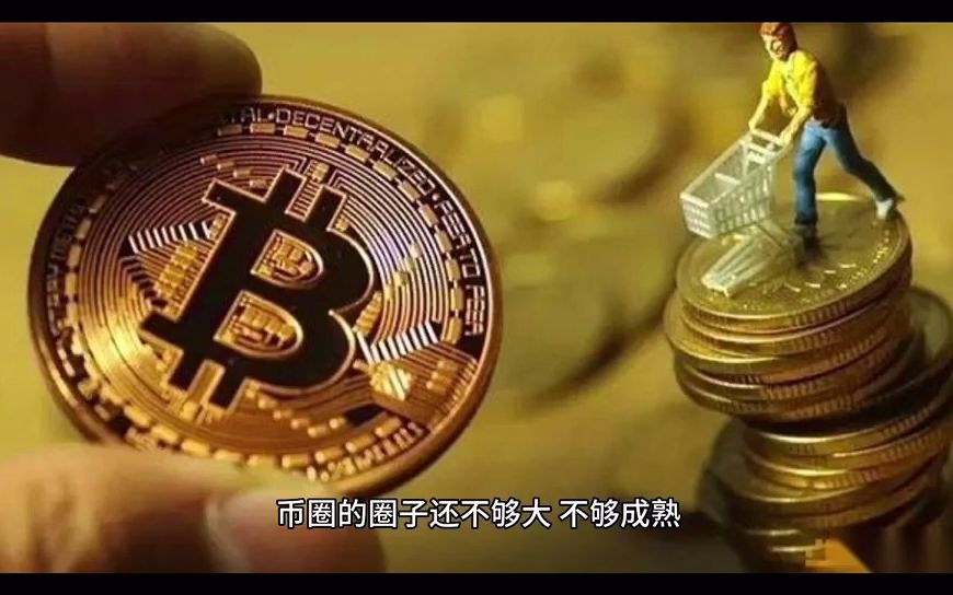 币圈一级市场与二级市场谁是韭菜谁是收割韭菜