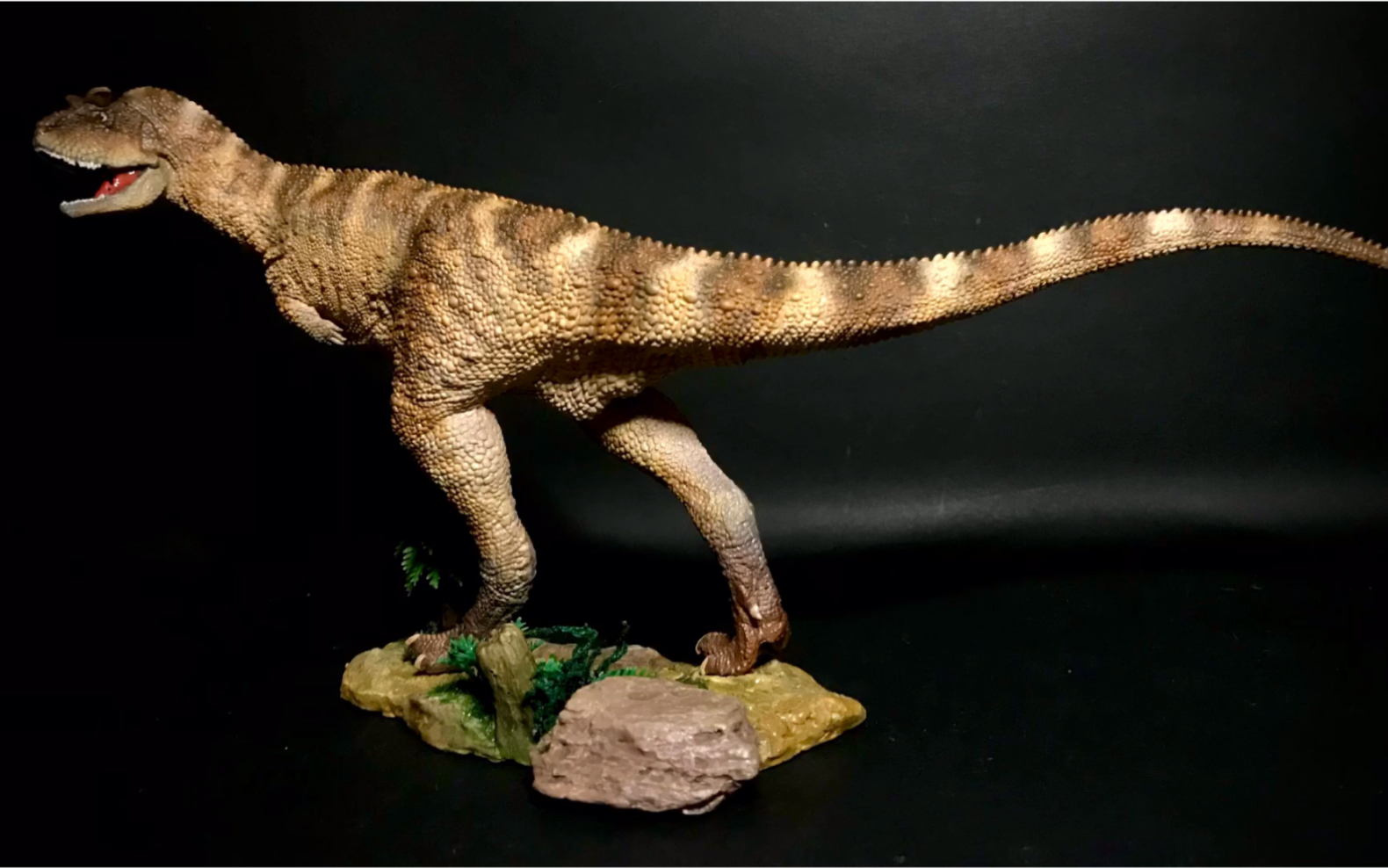 pnso食肉牛龙,虔洲龙重涂_哔哩哔哩_bilibili