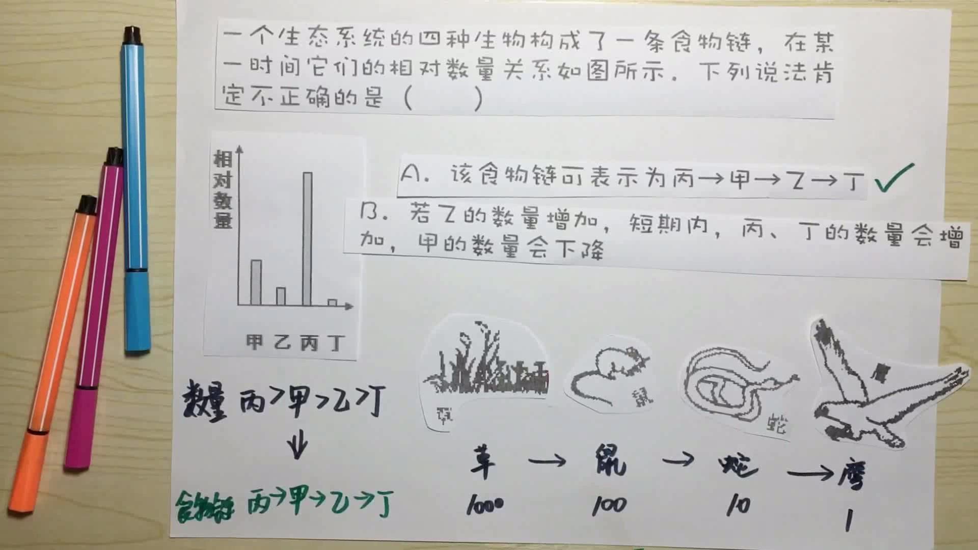 生态系统专题5食物链二哔哩哔哩bilibili