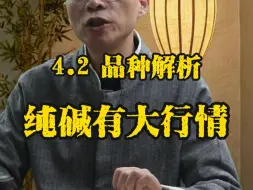 Télécharger la video: 纯碱或有大机会？