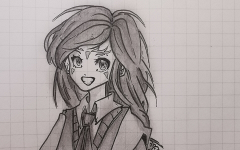 (纳雅)up主因为学业偶尔更新.