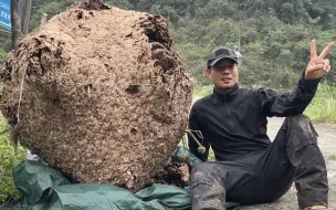 Video herunterladen: 职业追蜂人盛情邀请子威，感受超级大七里