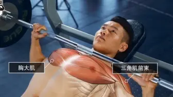 上斜杠铃卧推，你真的会推吗？