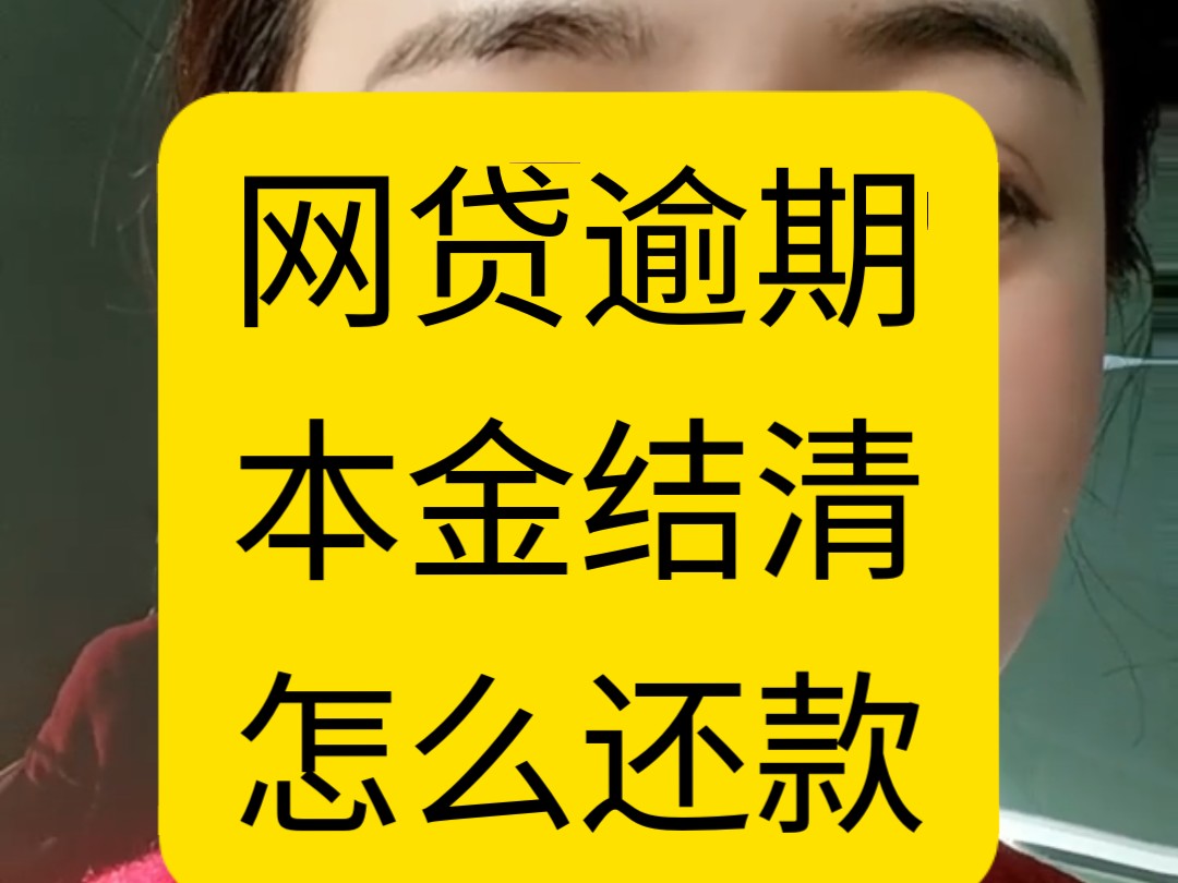 网贷本金结清怎么申请.网贷逾期怎么还款比较好哔哩哔哩bilibili