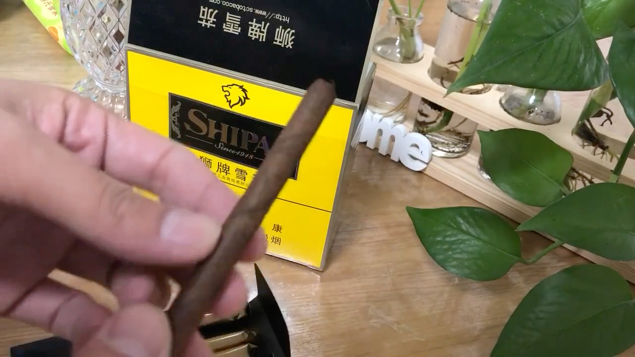 今天分享一款狮牌迷你雪茄!哔哩哔哩bilibili