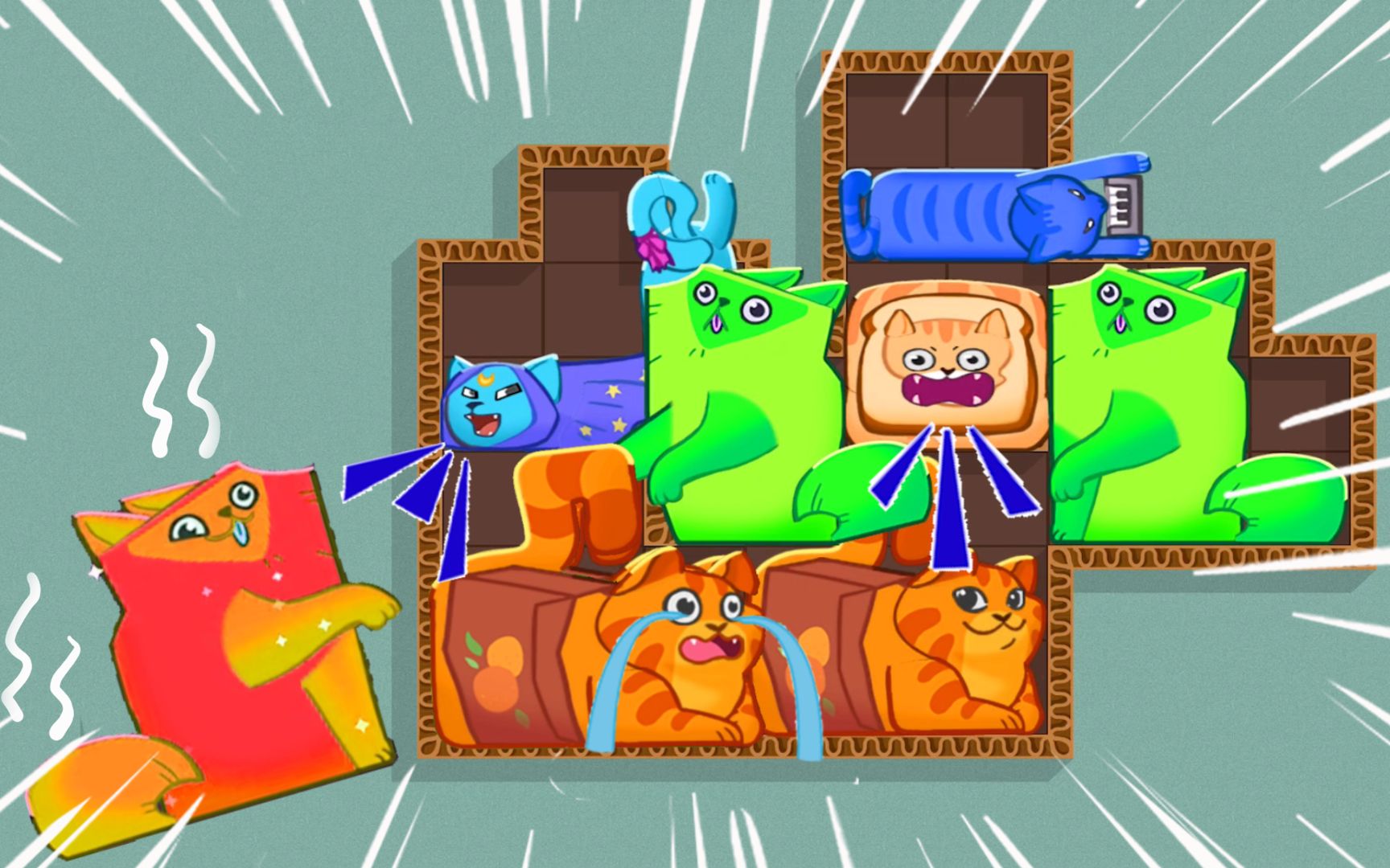 猫咪挤一挤:客人来了猫咪们不懂礼貌,主人要生气了!_哔哩哔哩bilibili