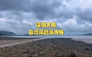 Download Video: 第63集｜深圳大鹏赶海白沙湾赶海攻略（免费）