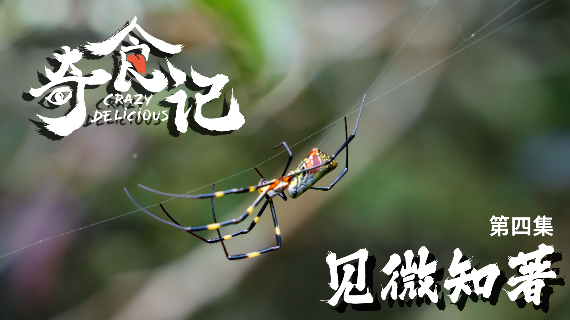 奇食记2第4集-纪录片-全集-高清独家在线观看-bilibili-哔哩哔哩