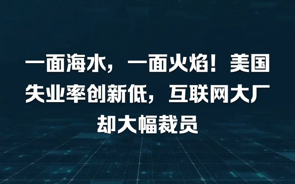 一面海水,一面火焰!美国失业率创新低,互联网大厂却大幅裁员哔哩哔哩bilibili