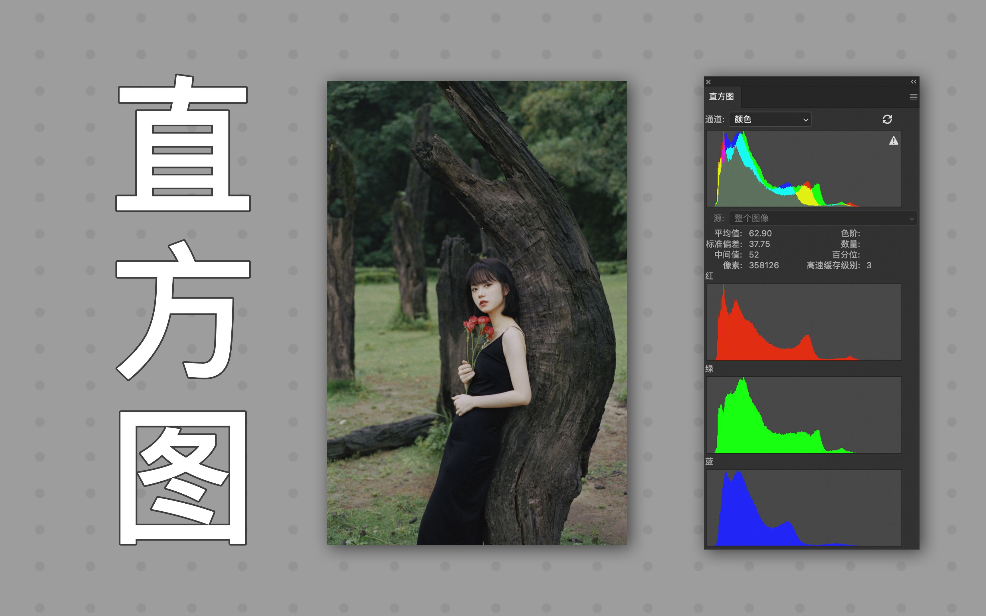 如何用直方图分析照片影调和色彩倾向lr系统教程第二期