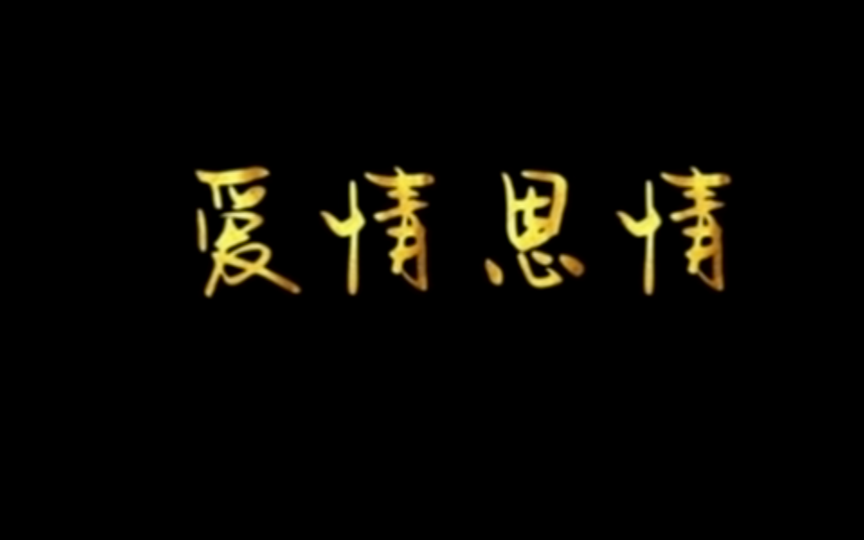 爱情恩情 24集