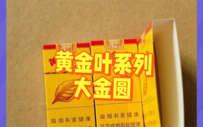 黄马褂加身,黄金叶系列软大金圆哔哩哔哩bilibili