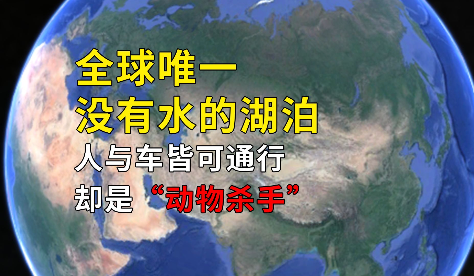 全球唯一没有水的湖泊,人与车皆可通行,却是“动物杀手”哔哩哔哩bilibili