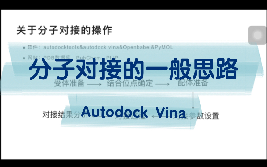 Molecular docking|利用autodock vina进行分子对接的软件和思路哔哩哔哩bilibili