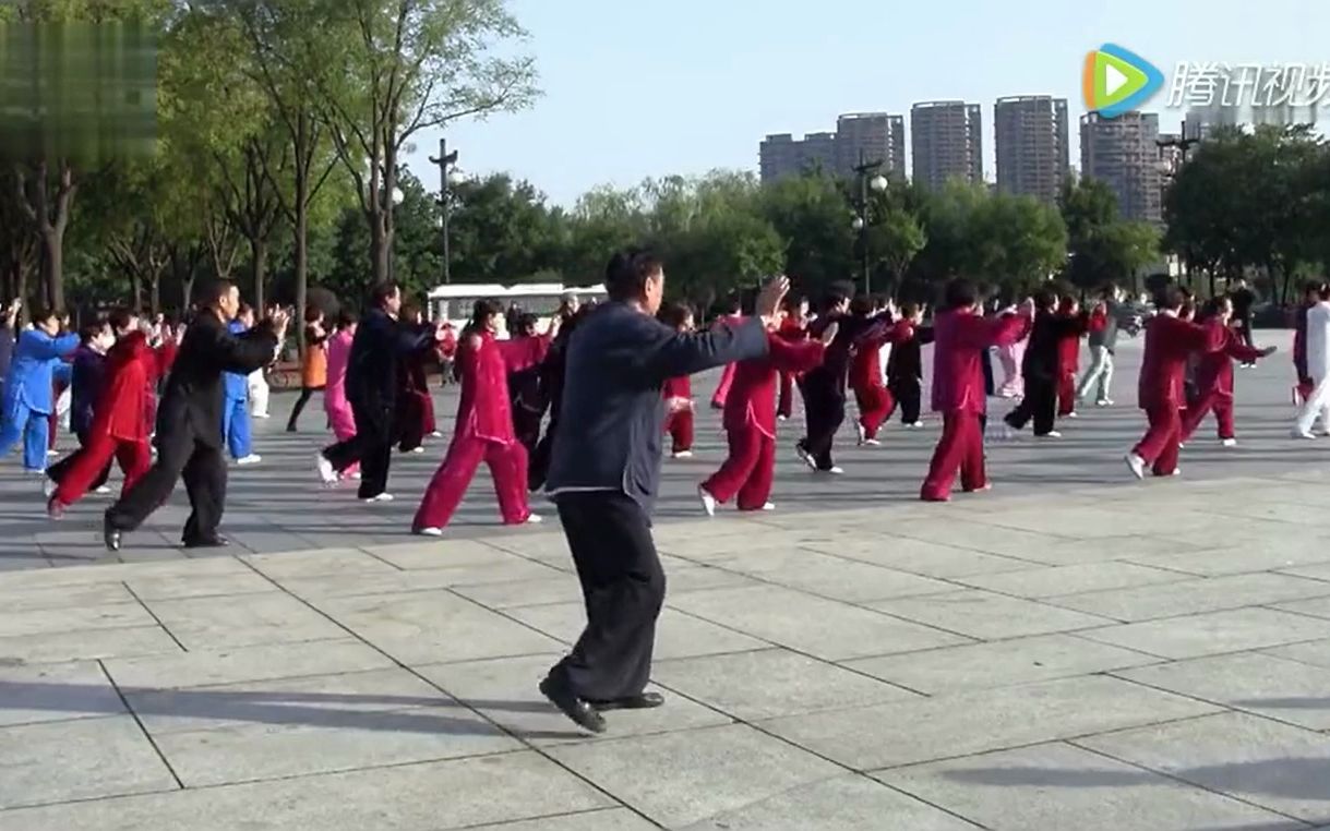 [图]赵幼斌老师领练传统杨氏85式太极拳