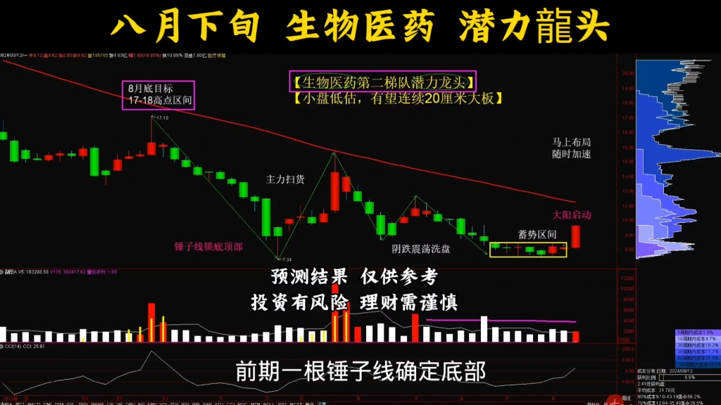 八月下旬 生物医药 潜力龙头 或将主升哔哩哔哩bilibili