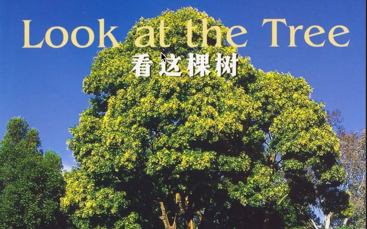 [图]绘本阅读-国家地理儿童百科入门02-Look at the Tree