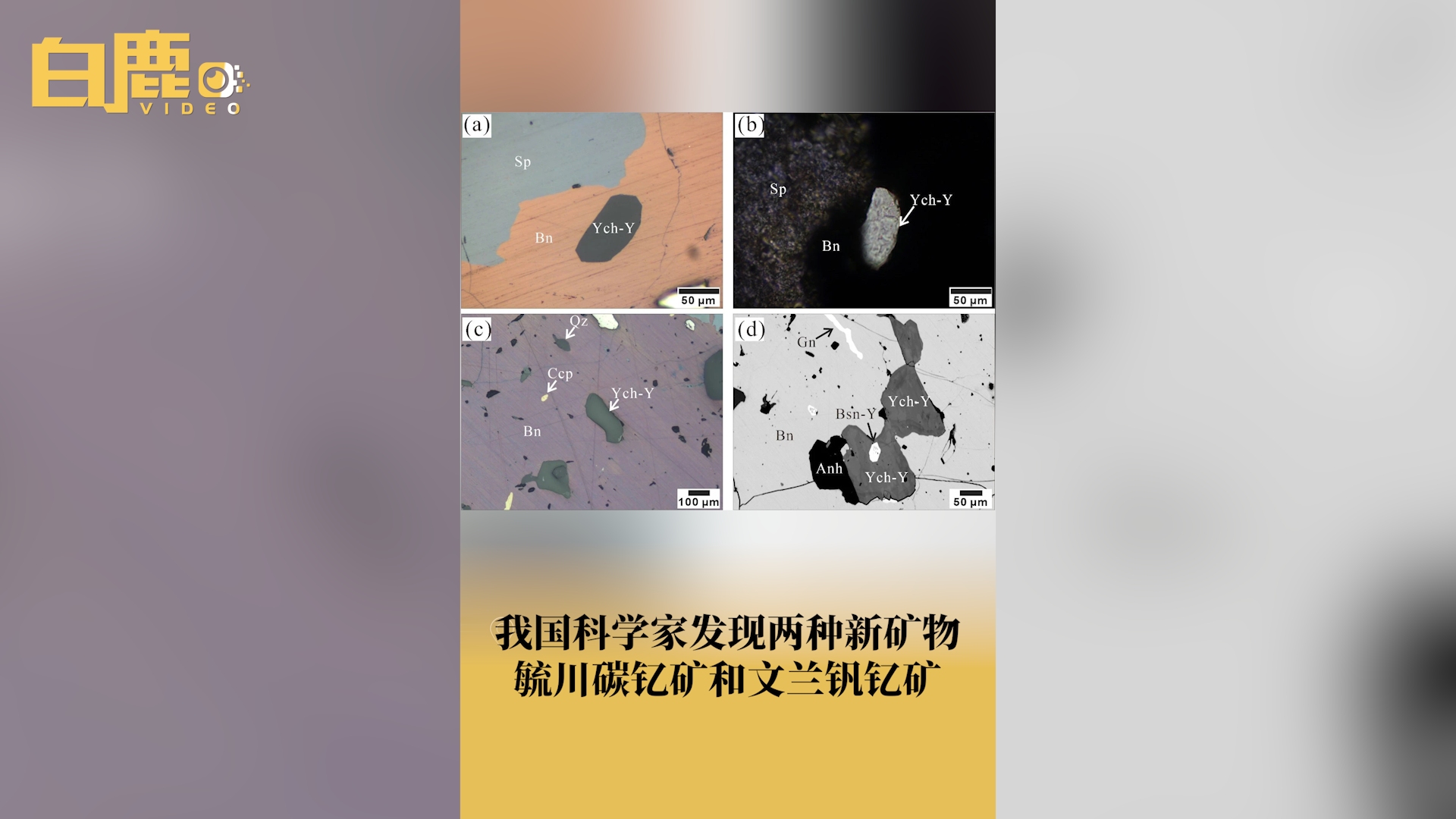 我国科学家发现两种新矿物哔哩哔哩bilibili