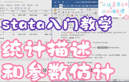 【stata入门教学】 面板(横截面)数据的基本操作之统计描述(均值 中位数 最大最小值 标准差 可信区间等)~哔哩哔哩bilibili