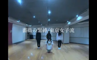 薔薇の緊縛 哔哩哔哩 Bilibili