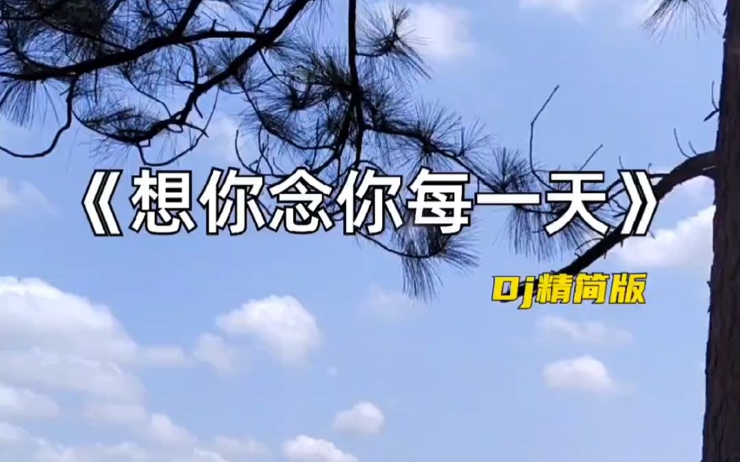 今日音乐分享 想你念你每一天